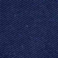 frascara-4412-indigo-color-Swatch