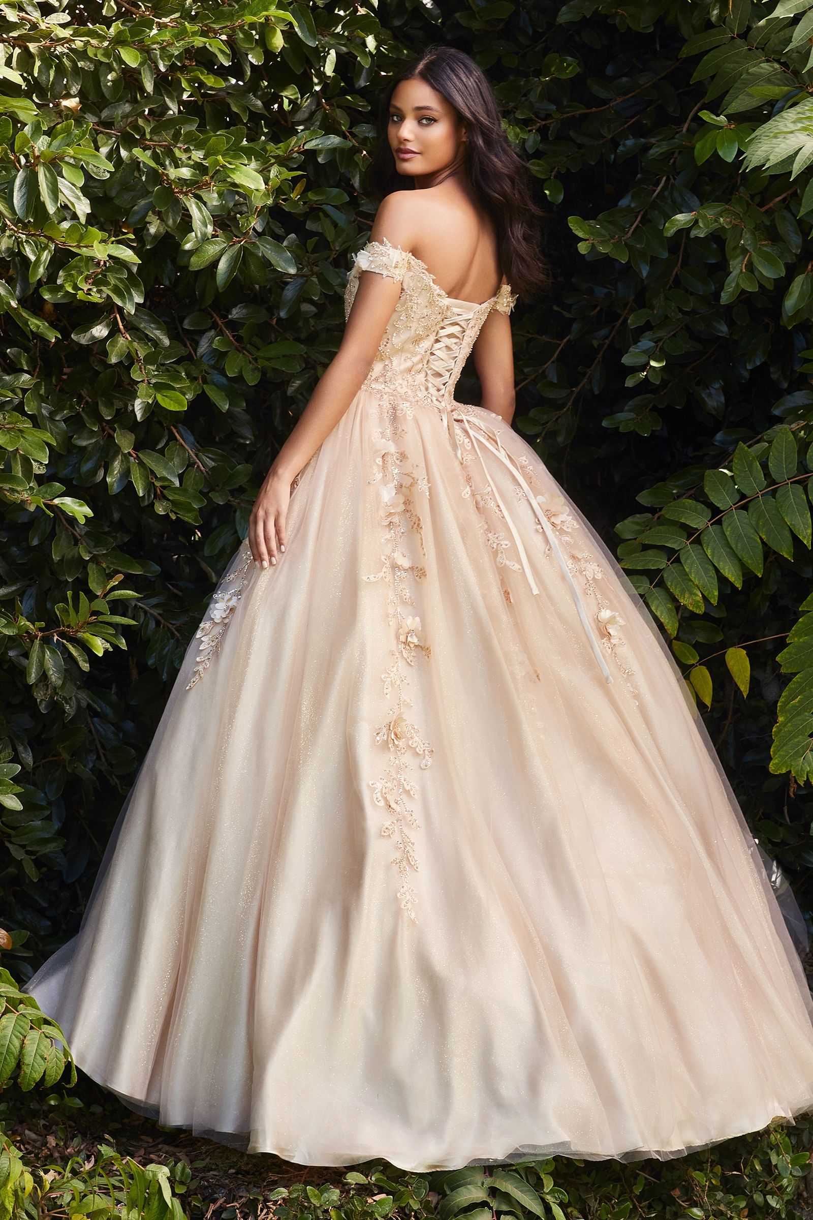 Bridal quinceanera clearance dresses