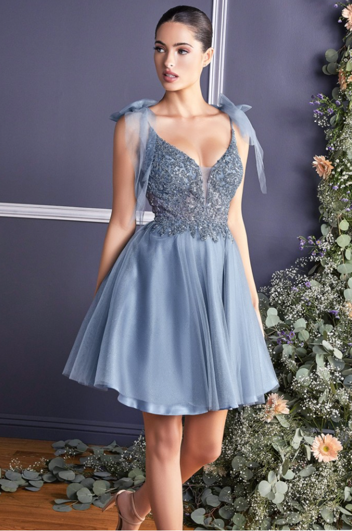 Ladivine CD0174 A Line Short Tulle Dress